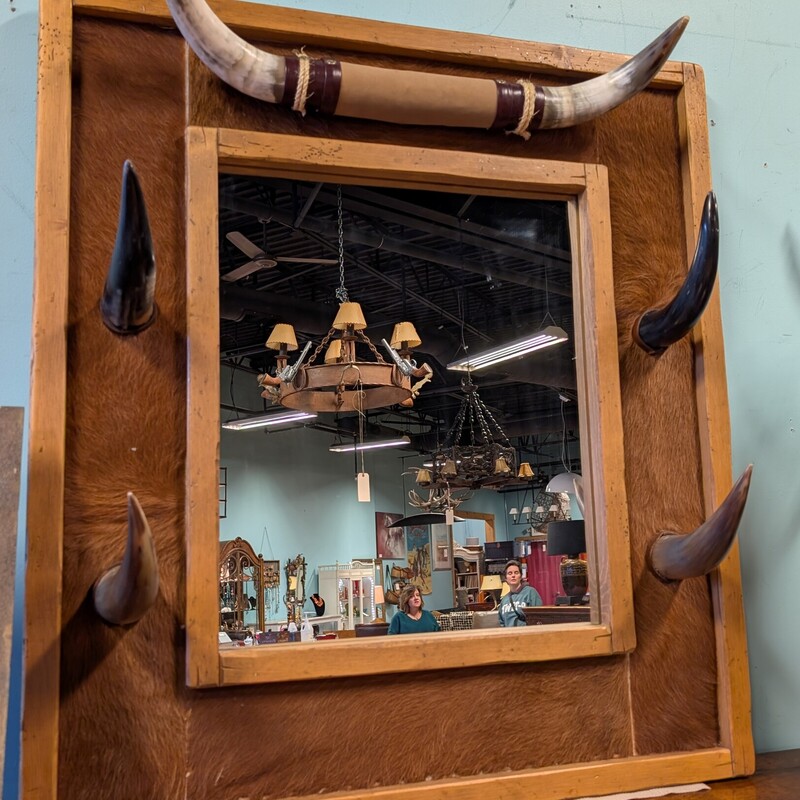 Steer Horns Cowhide