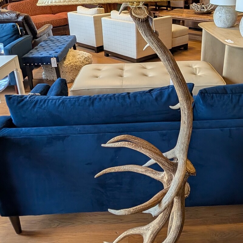 Real Antler Floor Lamp