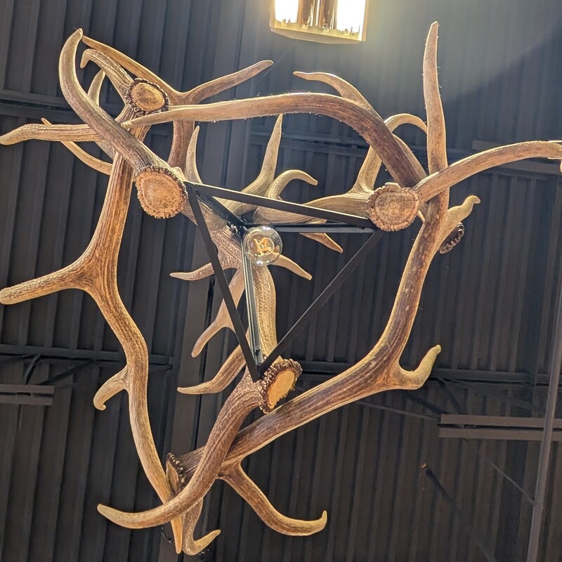 Antler Chandelier Modern, 1 Bulb, Local Sheds
36 x 24f
