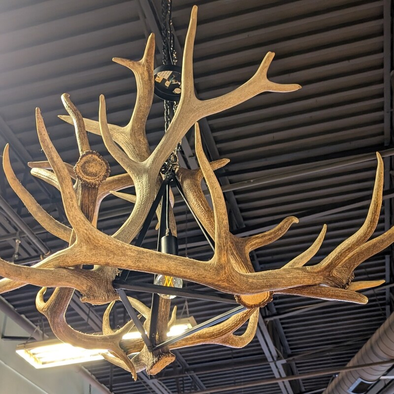 Antler Chandelier Modern