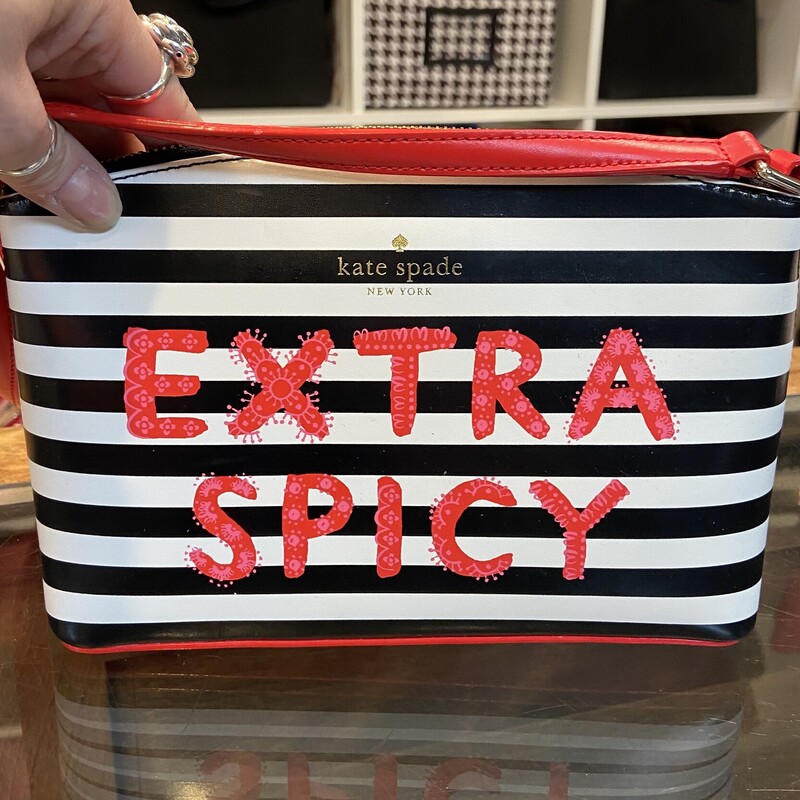 NWT Extra Spicy Purse