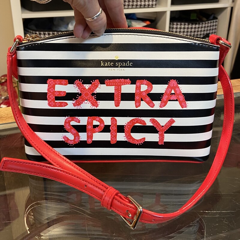 NWT Extra Spicy Purse
Bk/R/W
Size: R $249