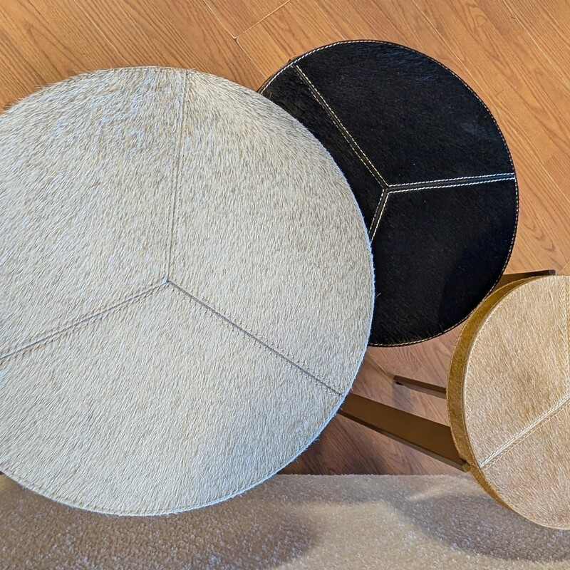 Regina Andrew Andres Hide, Round, 3pc<br />
12.5 Top 24H<br />
12.5 Top 22H<br />
9.5   Top 20H