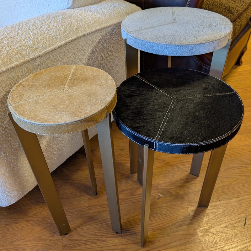 Regina Andrew Andres Hide, Round, 3pc
12.5 Top 24H
12.5 Top 22H
9.5   Top 20H