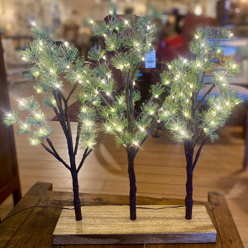 3 Trees Lighted Arhaus