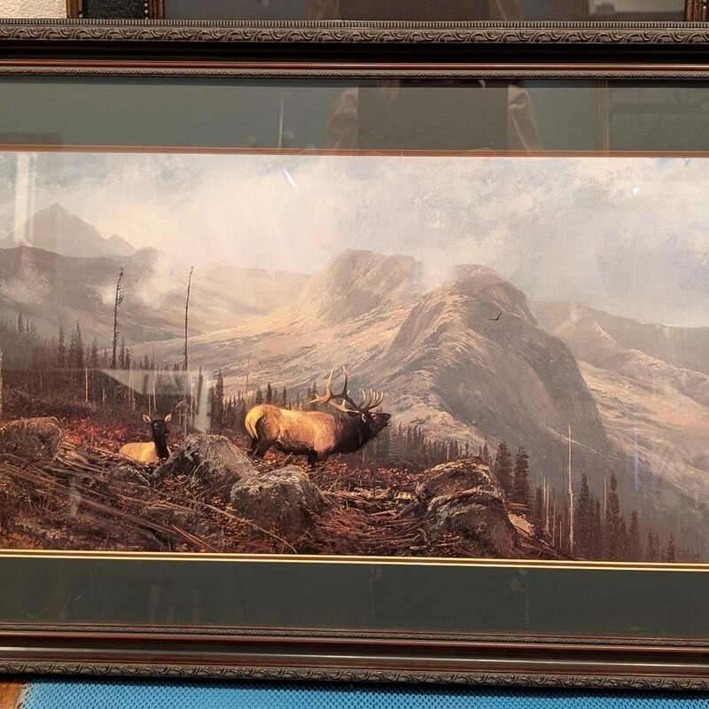 Elk In The Moutains