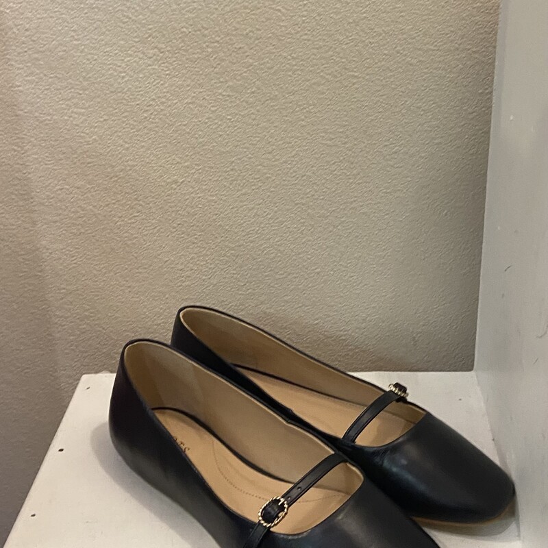 EUC Nvy Lther Bck Flat