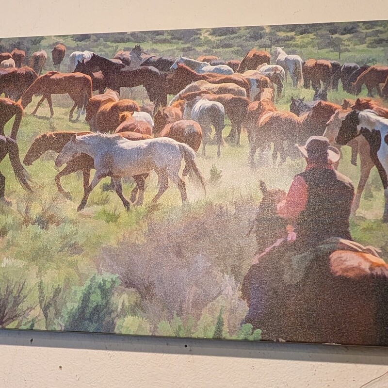 Local Mustang Roundup