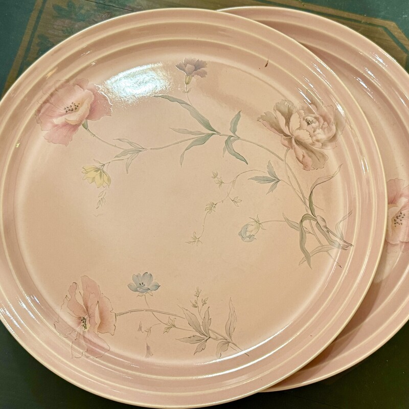 Plates Mikasa Country Fre