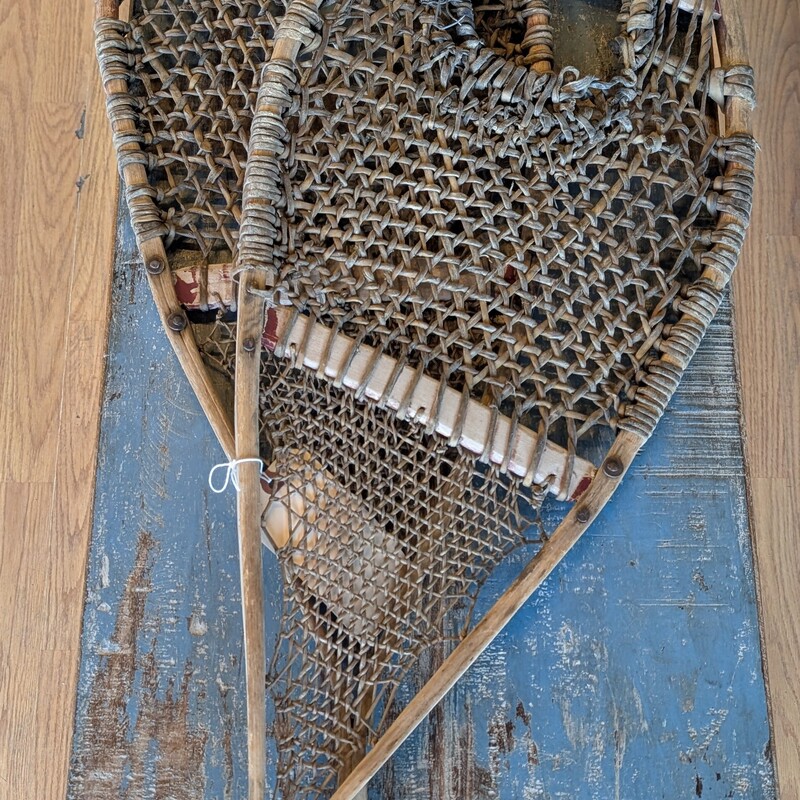 Antique Snowshoes, Bear Paw
18 x 38h