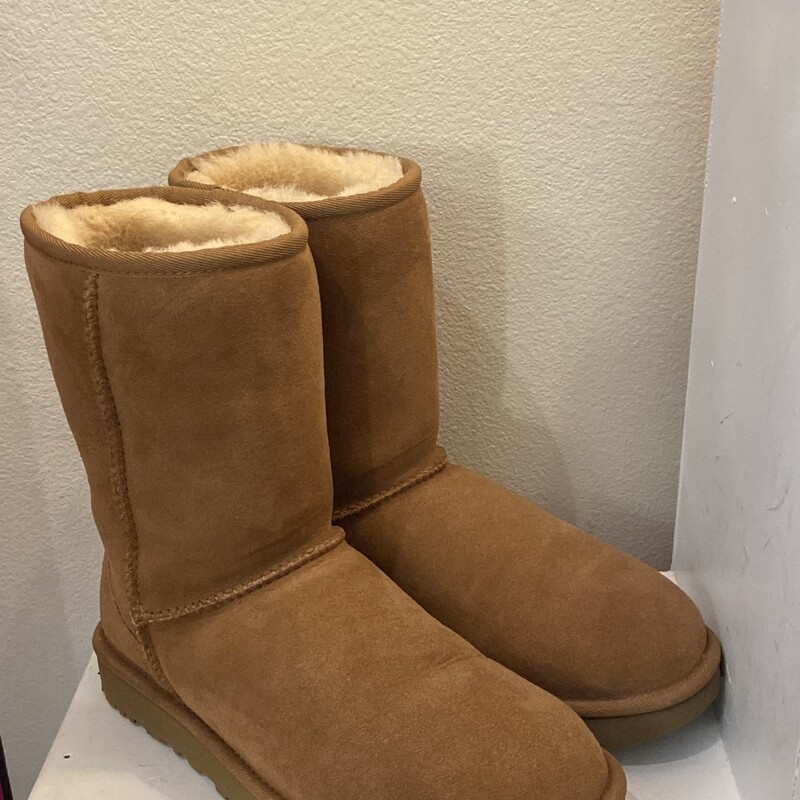 EUC Chsnut Suede Boot