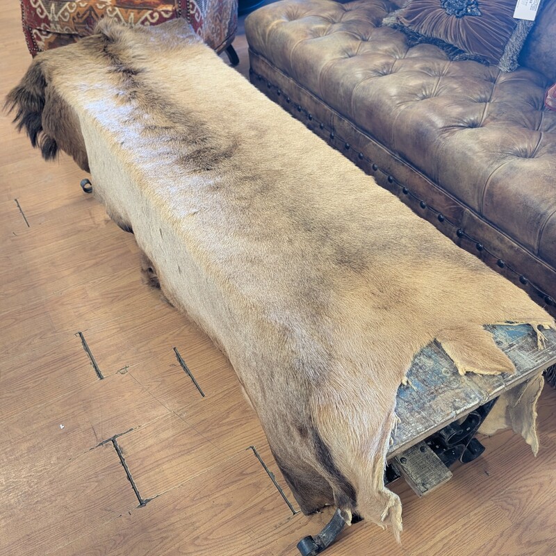 Elk Skin / Hide Blanket, Local<br />
84 x 60