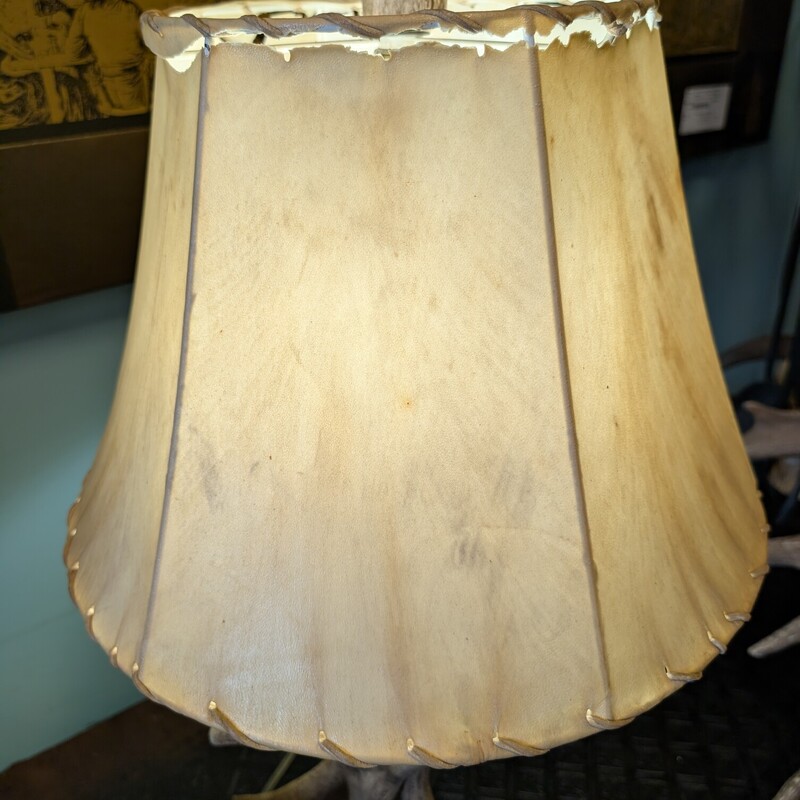Antler Base Table Lamp<br />
As Is Hide Shade<br />
16 x 32h