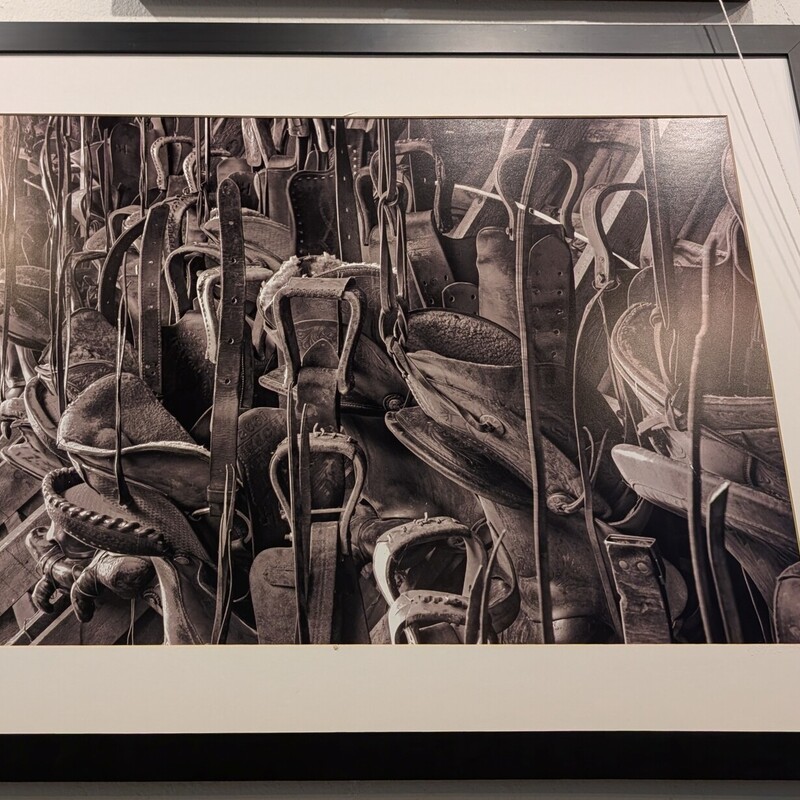 Saddles Black/white Photo