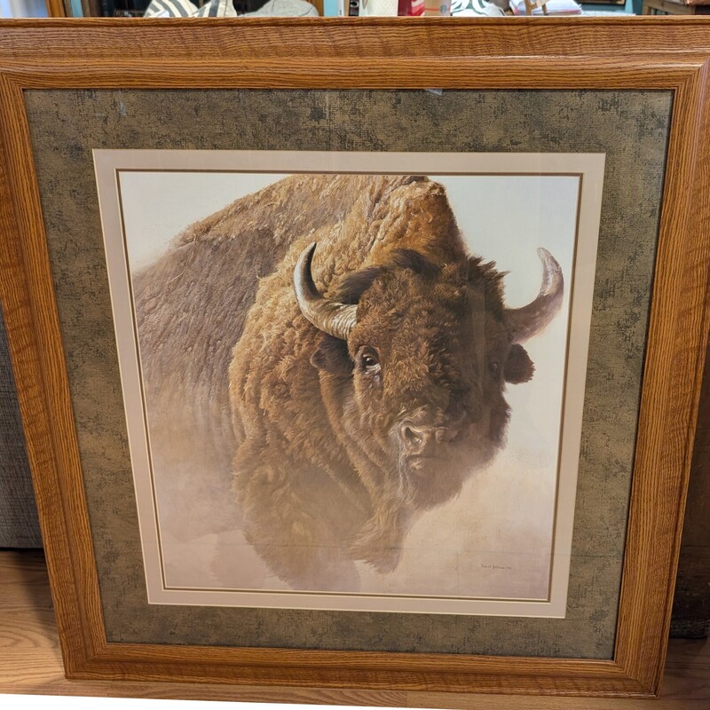 Buffalo Portrait