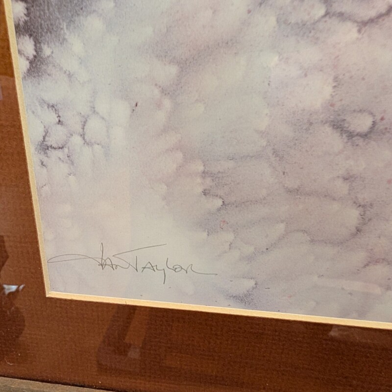 Eagle / Woman Jan Taylor, Signed, Framed