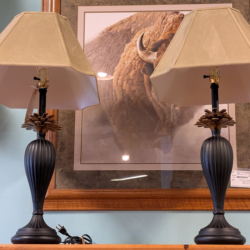 Black Metal W Pinecones