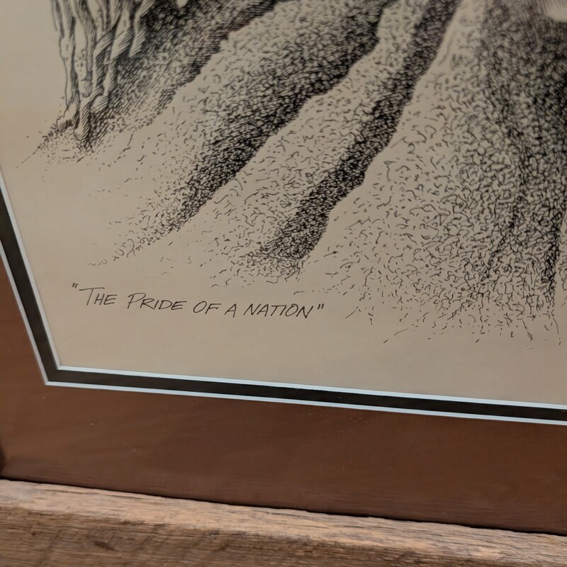 DanBrewer Nat American, S/N, Framed
26 x 34h