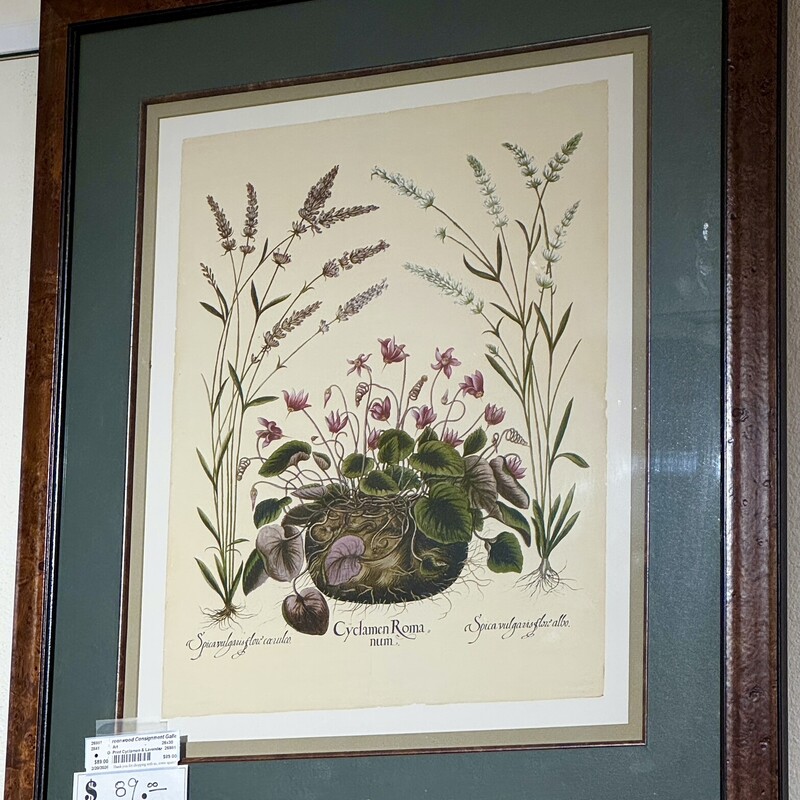 Print Cyclamen & Lavender