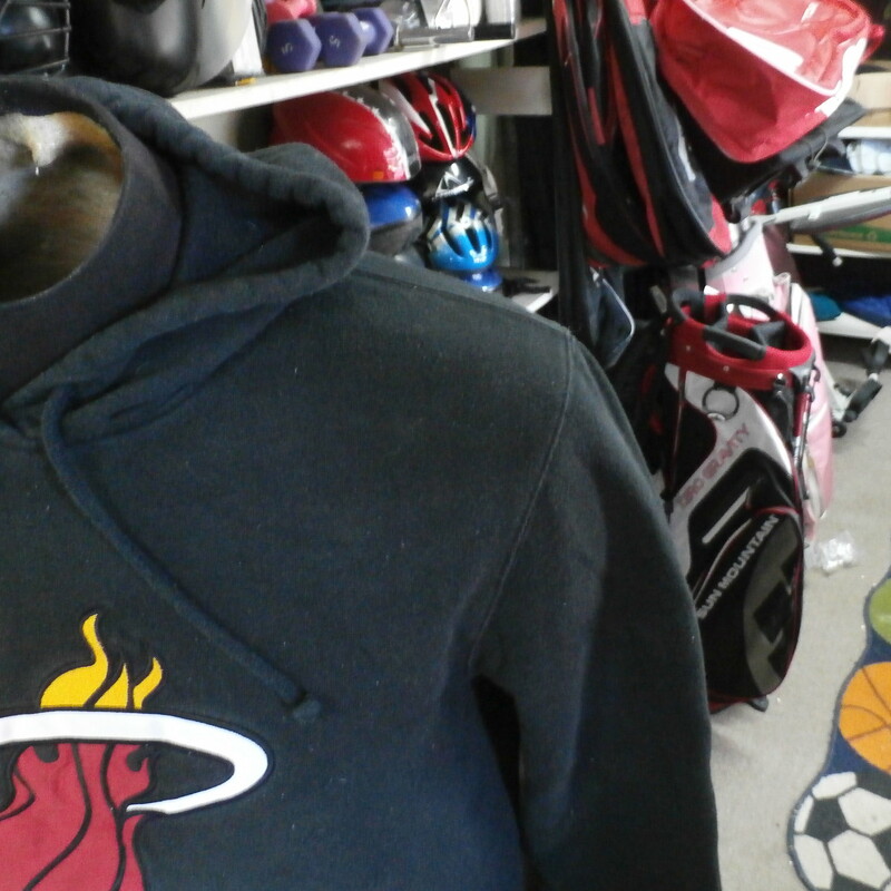 miami heat hoodies up photo