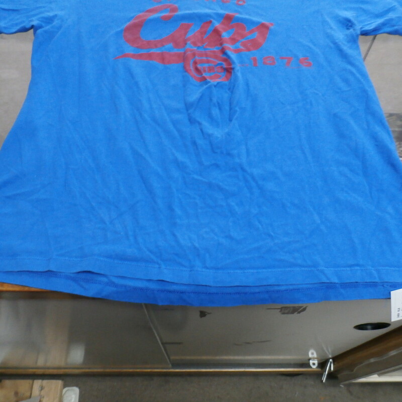 Vintage Jerzees Chicago Cubs Shirt size Small