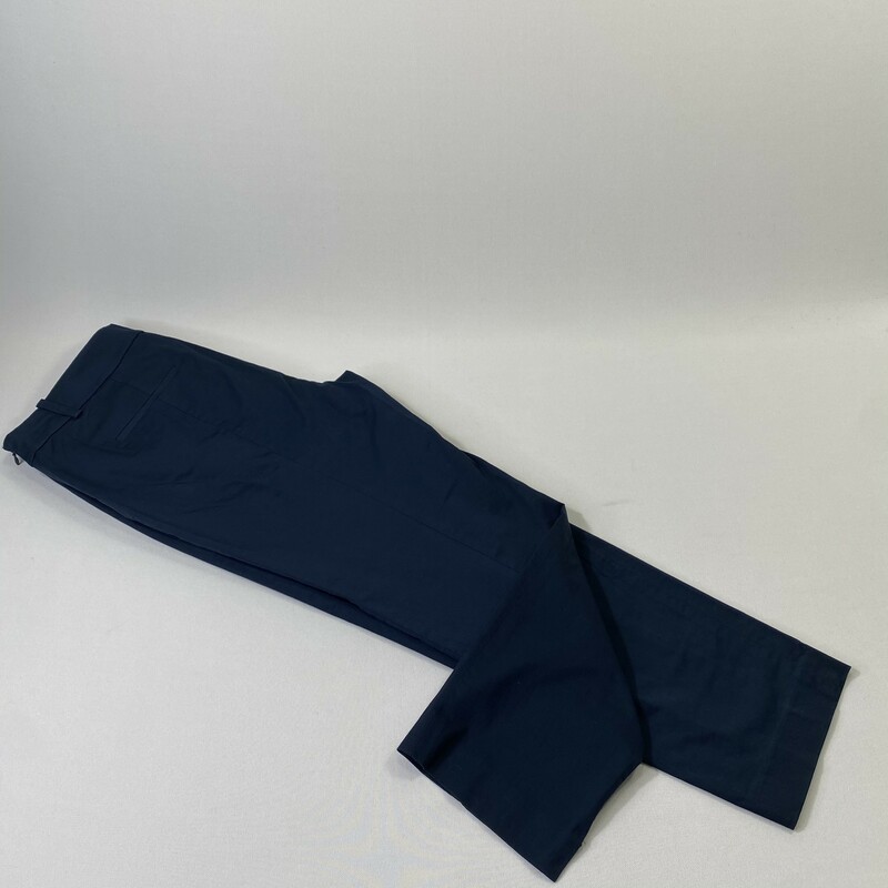 100-486 Ann Taylor, Blue, Size: 8Blue pants w/front and back pockets and side zipper cotton/spandex