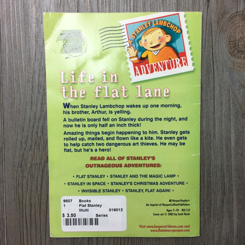 Flat Stanley, Multi, Size: Series
life in the flat lane
paperback