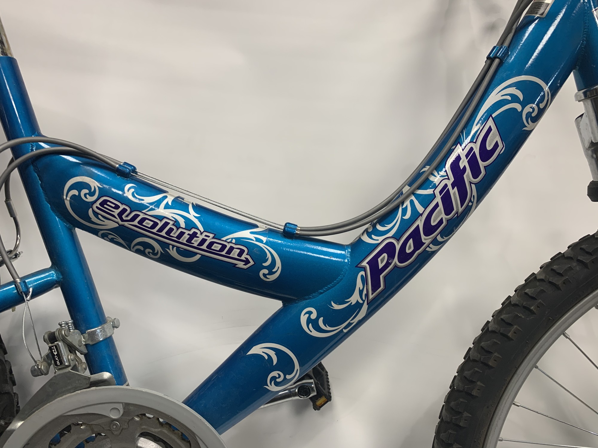 Pacific evolution mountain bike online