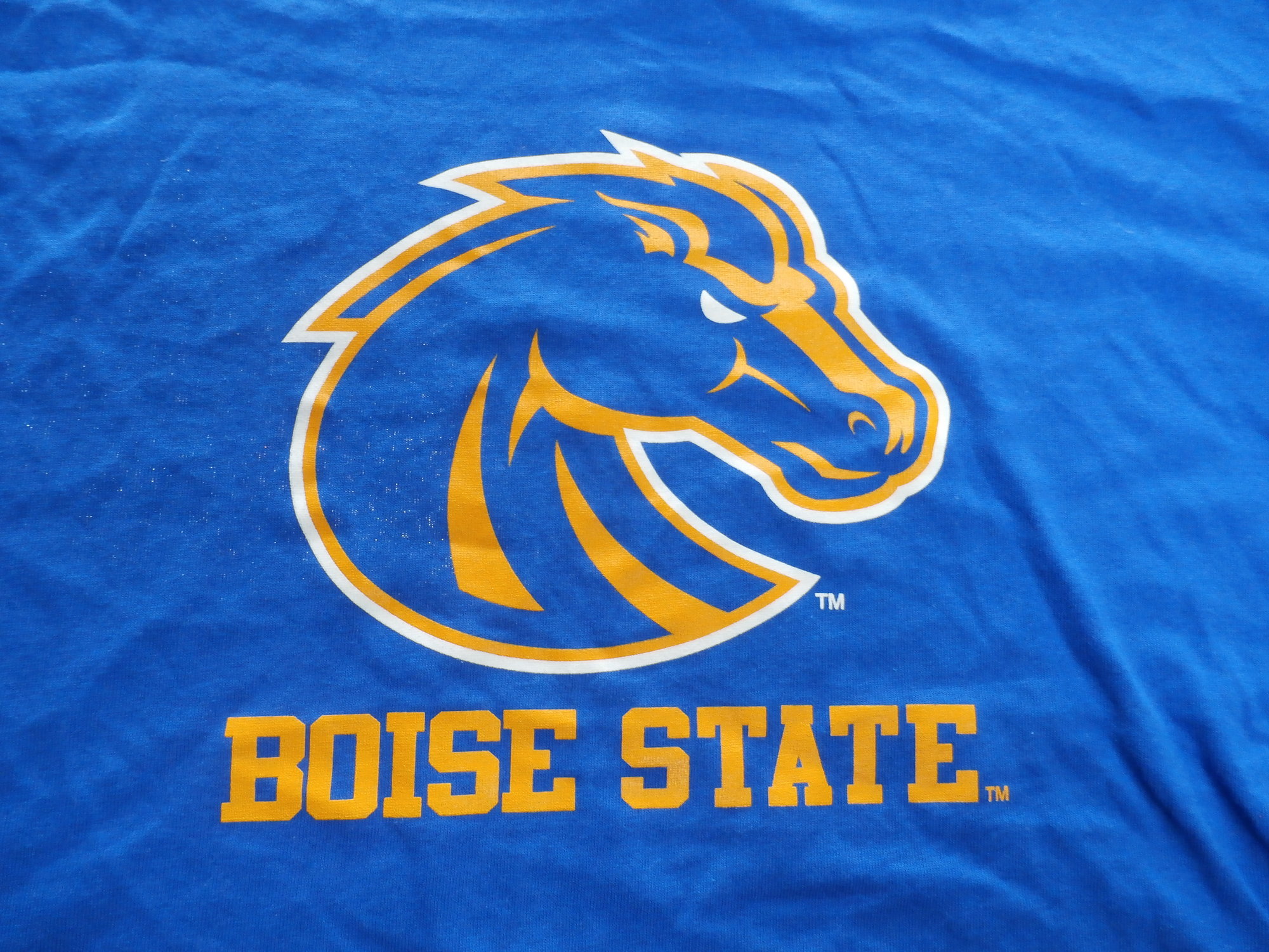 Men's Champion Royal Boise State Broncos Softball Icon Long Sleeve T-Shirt