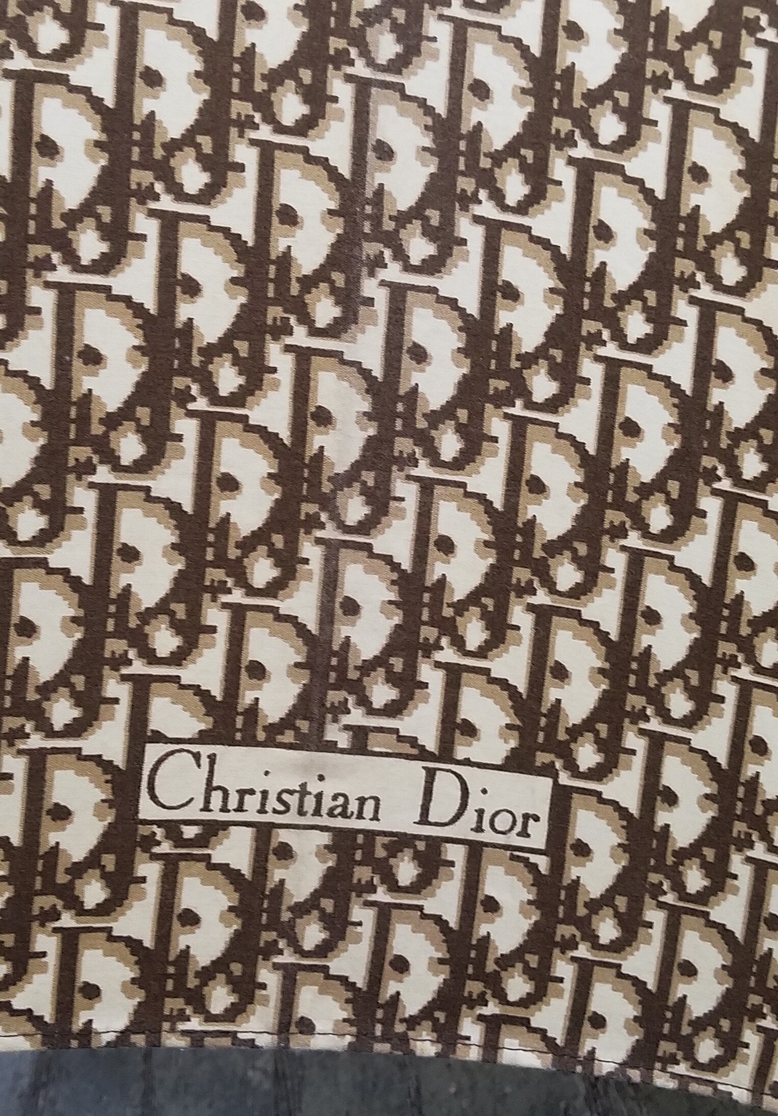 Vintage CHRISTIAN DIOR Monogram Logo Trotter Diorissimo 