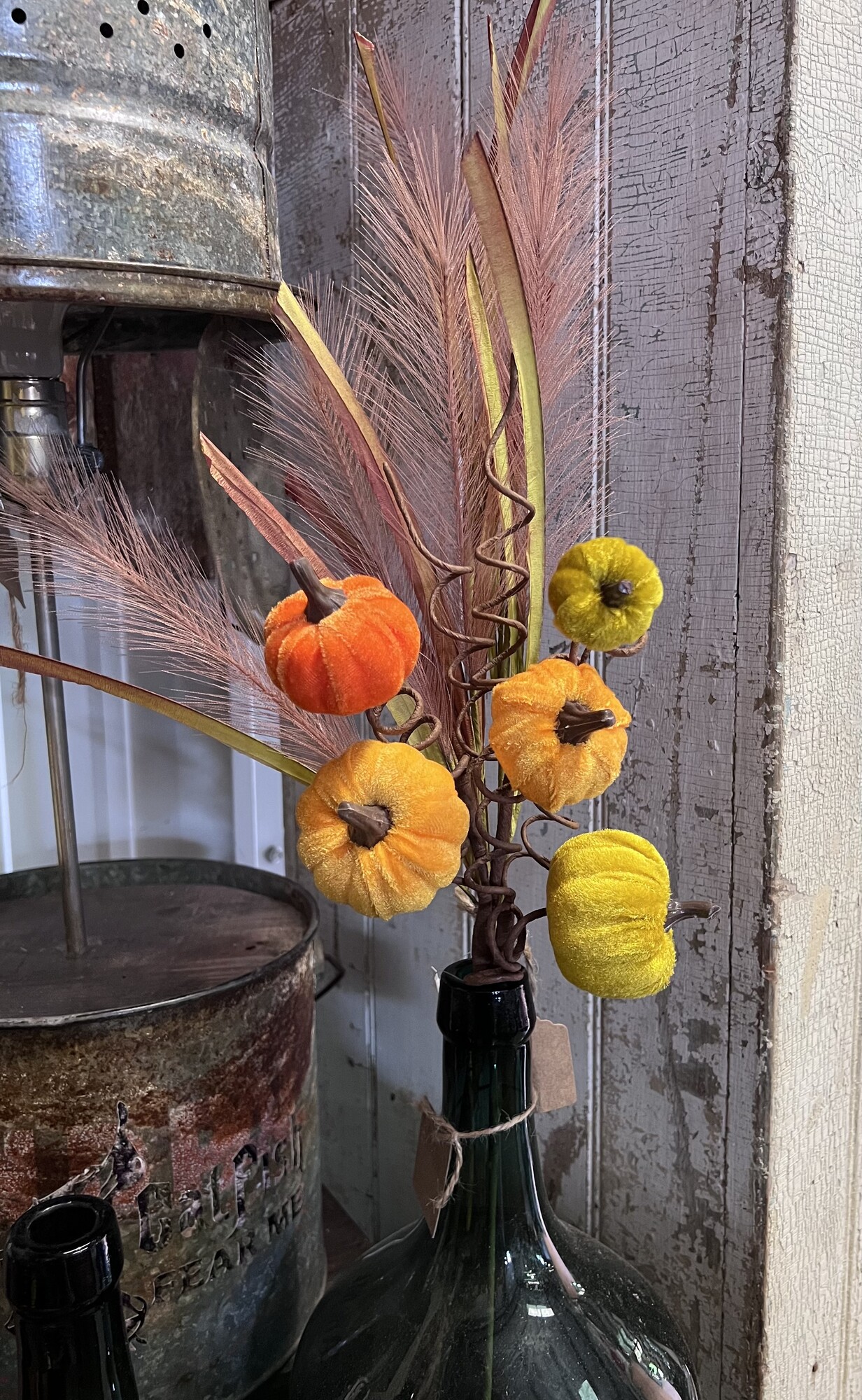 These adorable velvet  multicolored pumpkin stems are perfect for your fall decor
They measure 21 inches in length
