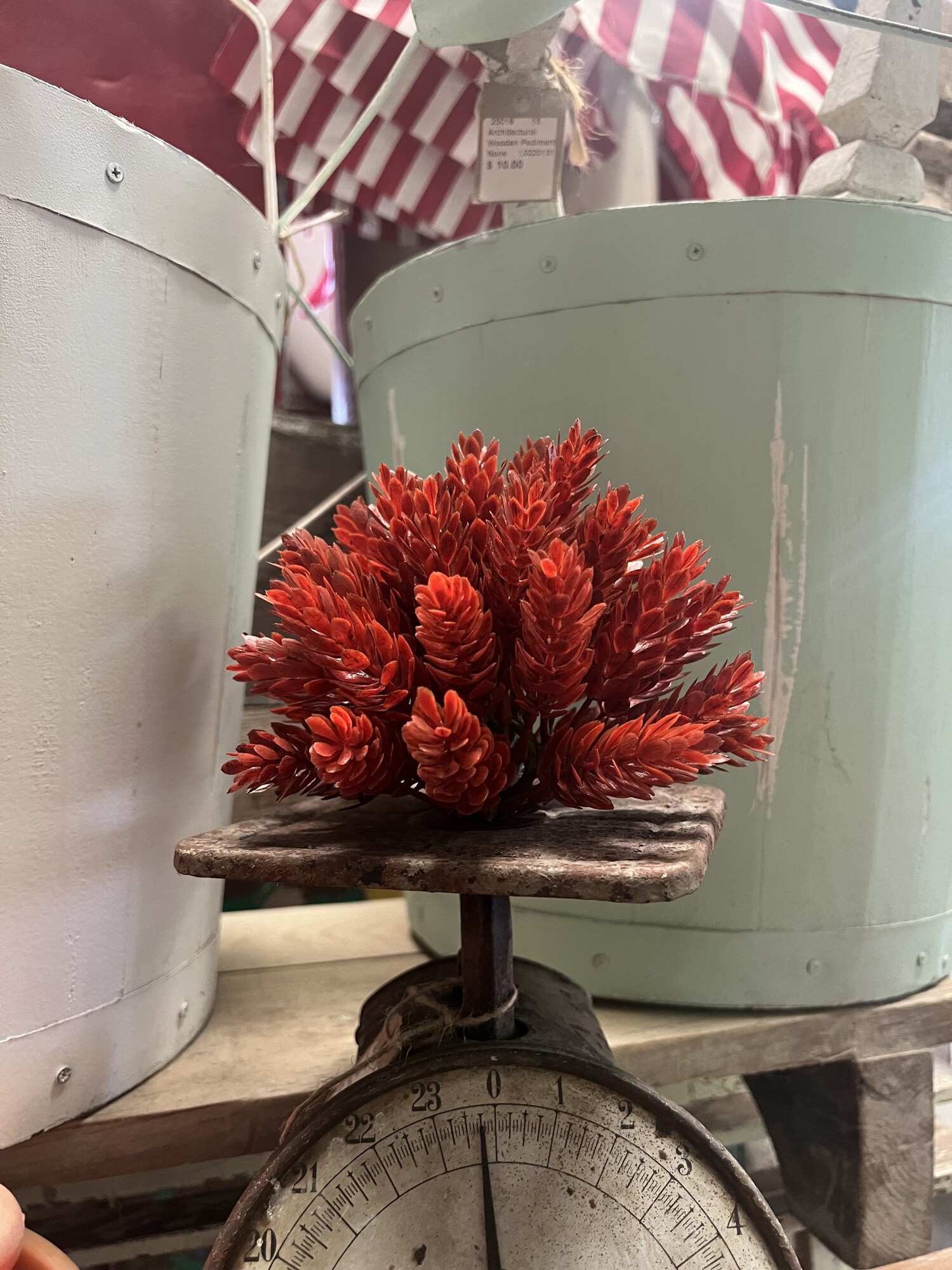 The Heartfelt Hops Half  Sphere is a decorative autumnal floral with a rich dark orange color.
The Hops have a sturdy, smooth texture and can be placed anywhere you want to add a touch of texture to your fall display.  Measures 7 inches in diameter