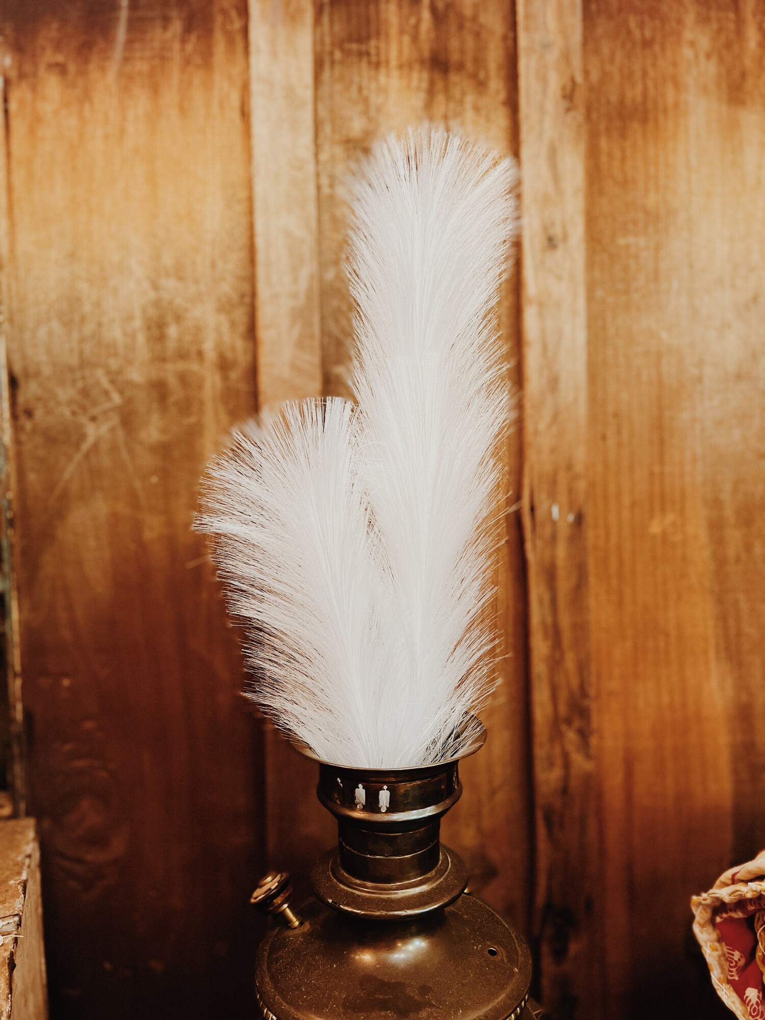 These gorgeous white colored pampas stems are perfect for weddings, parties, or even photography! The clean tone is such an elegant pampas color that makes these florals a beautiful touch to any decor! Each stem measures 27 inches long.