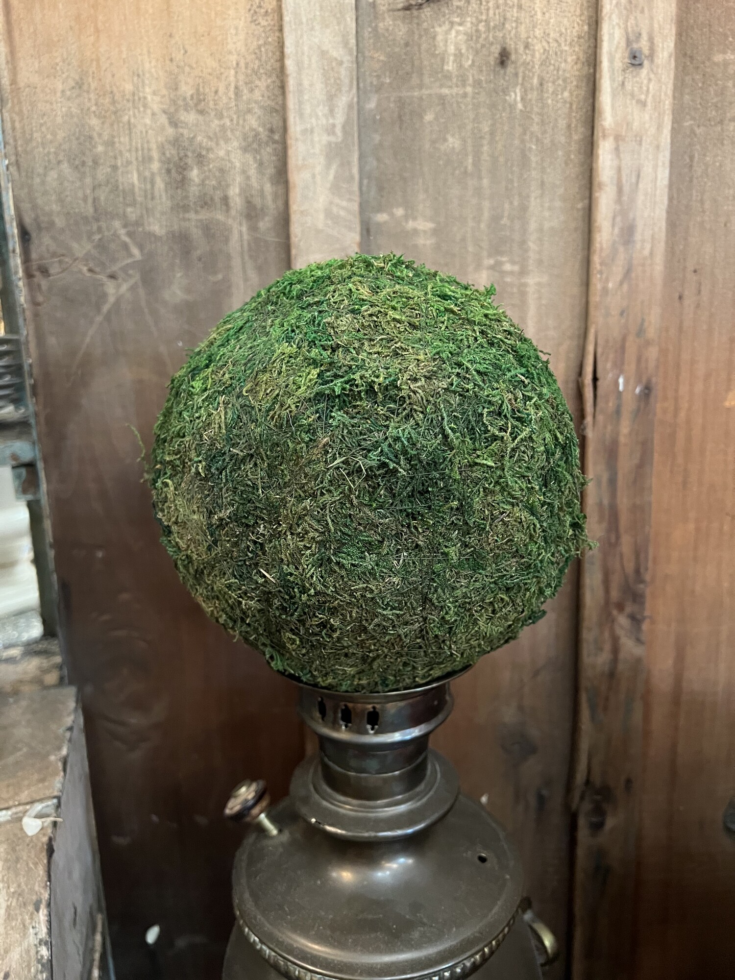 This large Moss ball has endless possibilities in your decor.  Measures 8 inches around