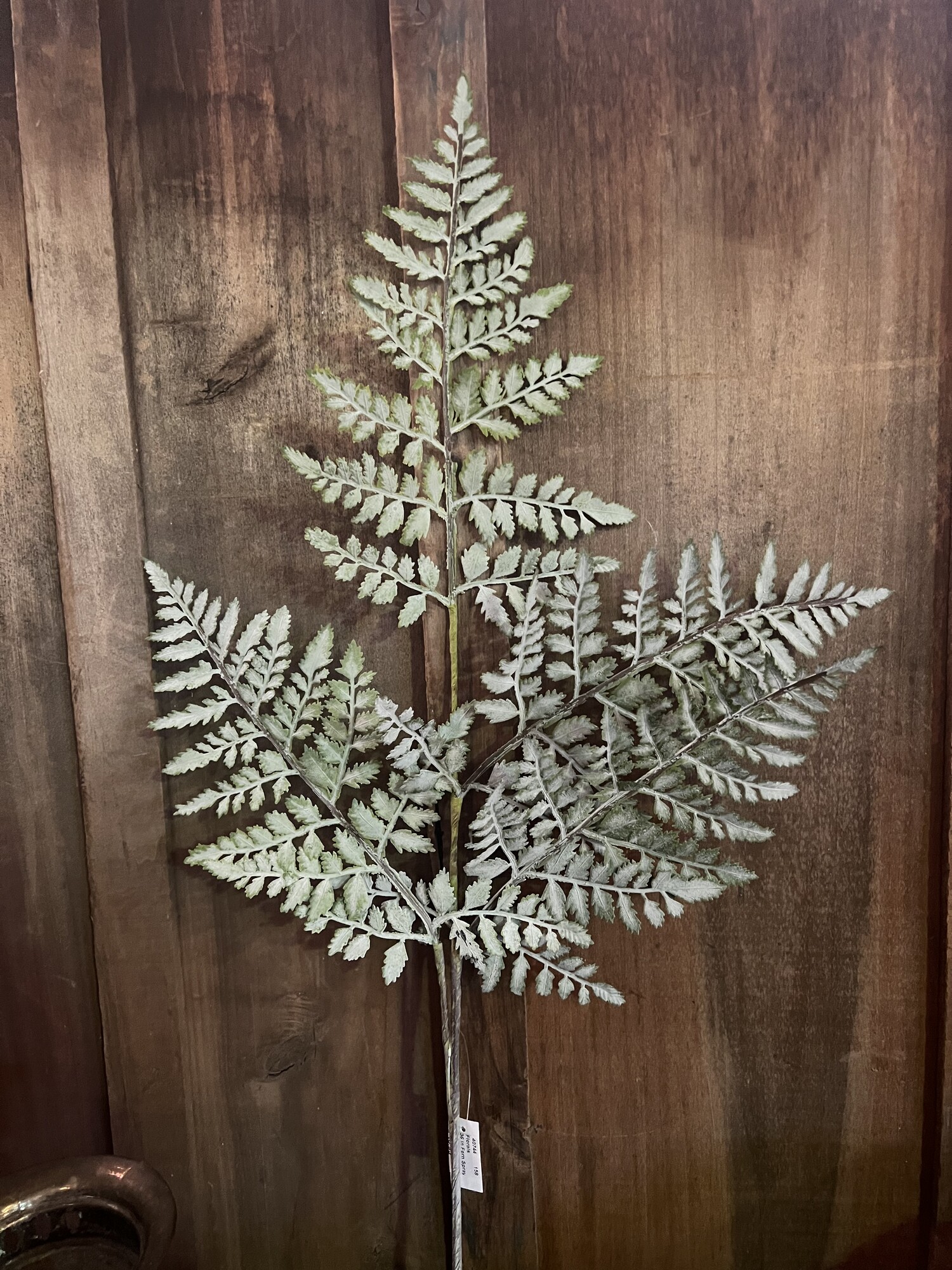 This Fern Spray is perfect for any season, wether its in an arrangement or a few grouped together in a vase.
This floral will work in any room with any decor. Spray measures 36 inches in length but can be bent or cut to fit any size vase