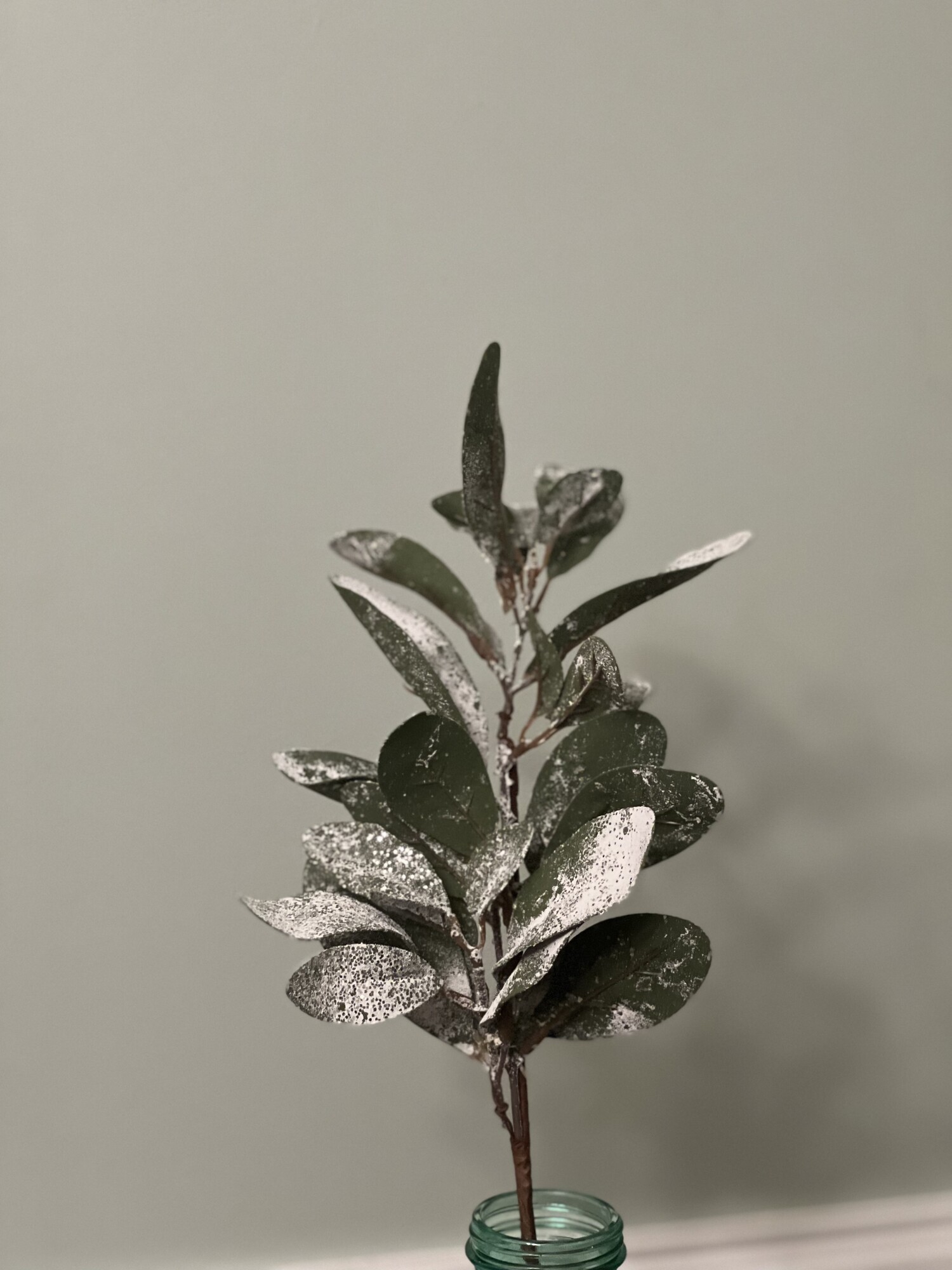 The Frosted Lambs Ear stem is absolutely gorgeous with it snowy and glittered leaves on a brown floral wrapped stem. This stem will be perfect on its own or added to any floral arrangement. Stem measures 18 inches tall