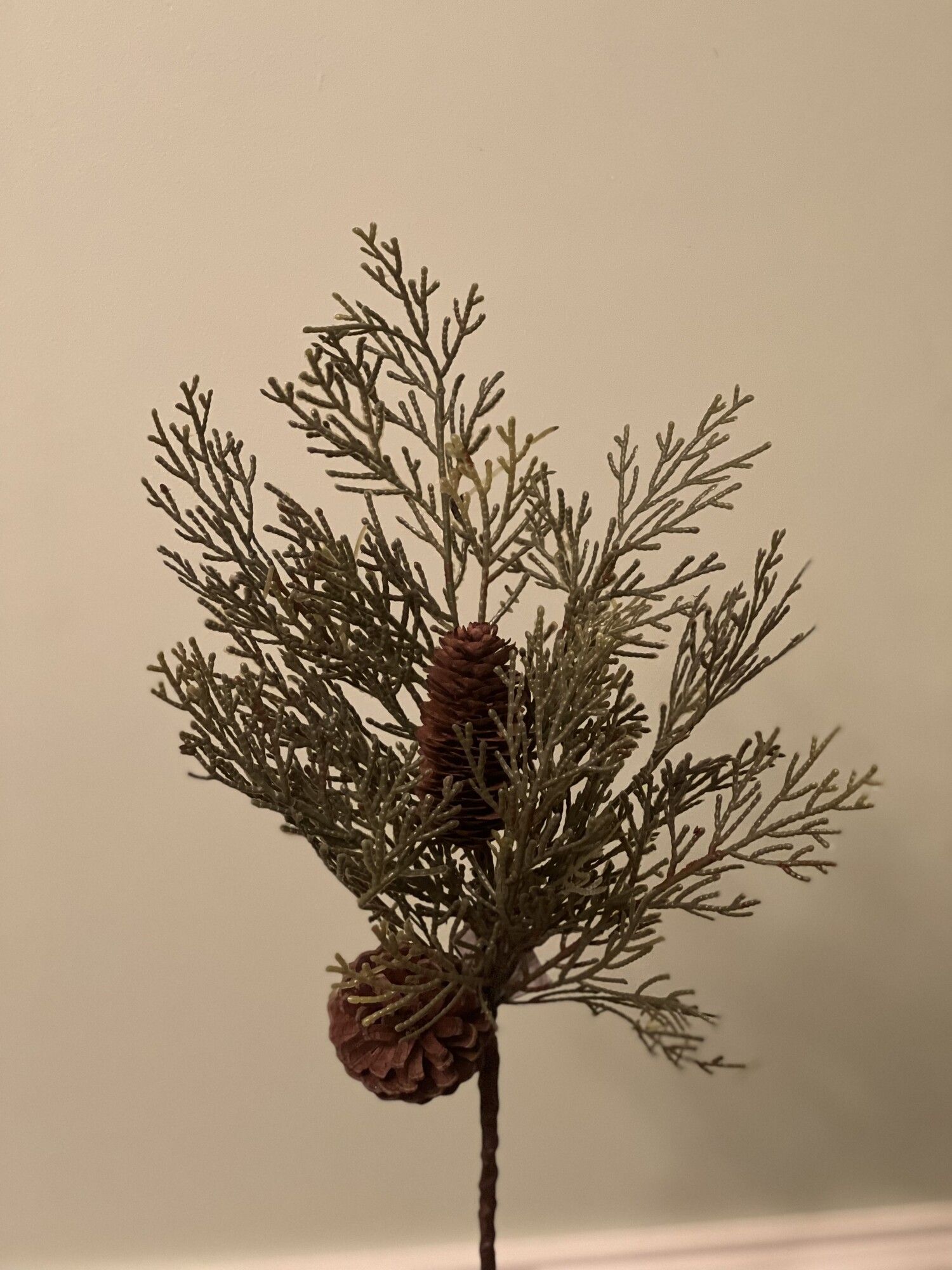 Cedar/pinecone Stem