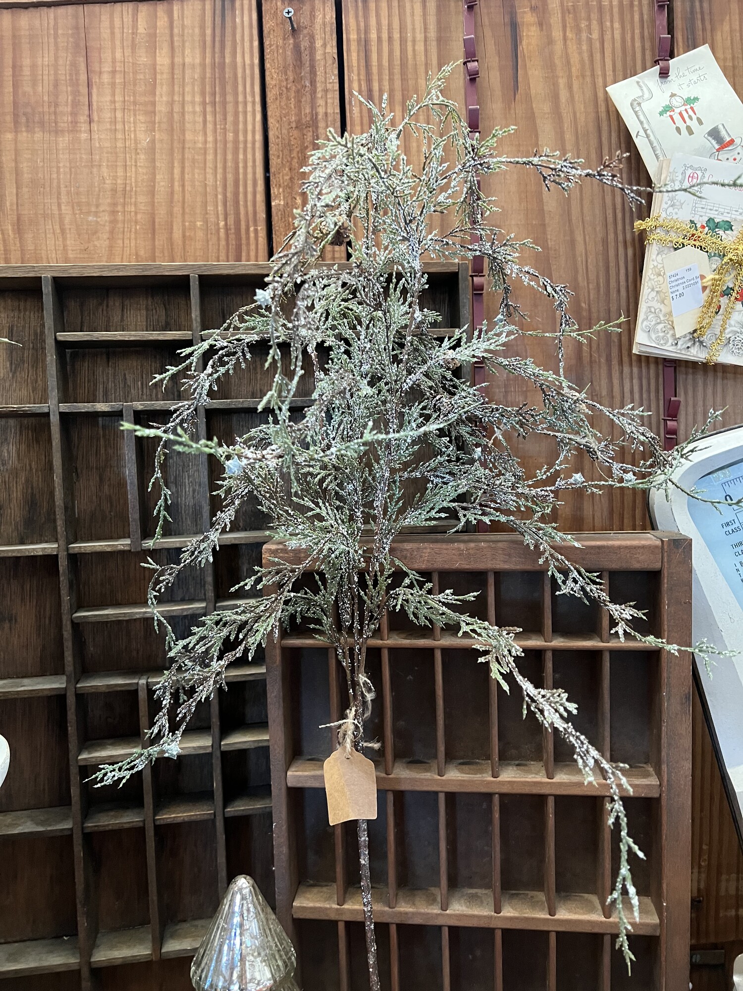 Create a country Christmas atmosphere with the Snowy Weeping Cedar hanging branch. This floral has a heavy coating of artificial snow that gives it a stunning wintry finish. Drape this branch over a mantle; cabinet or in a vase with berries for a festive display. Measures 34 inches high by 7 inches wide