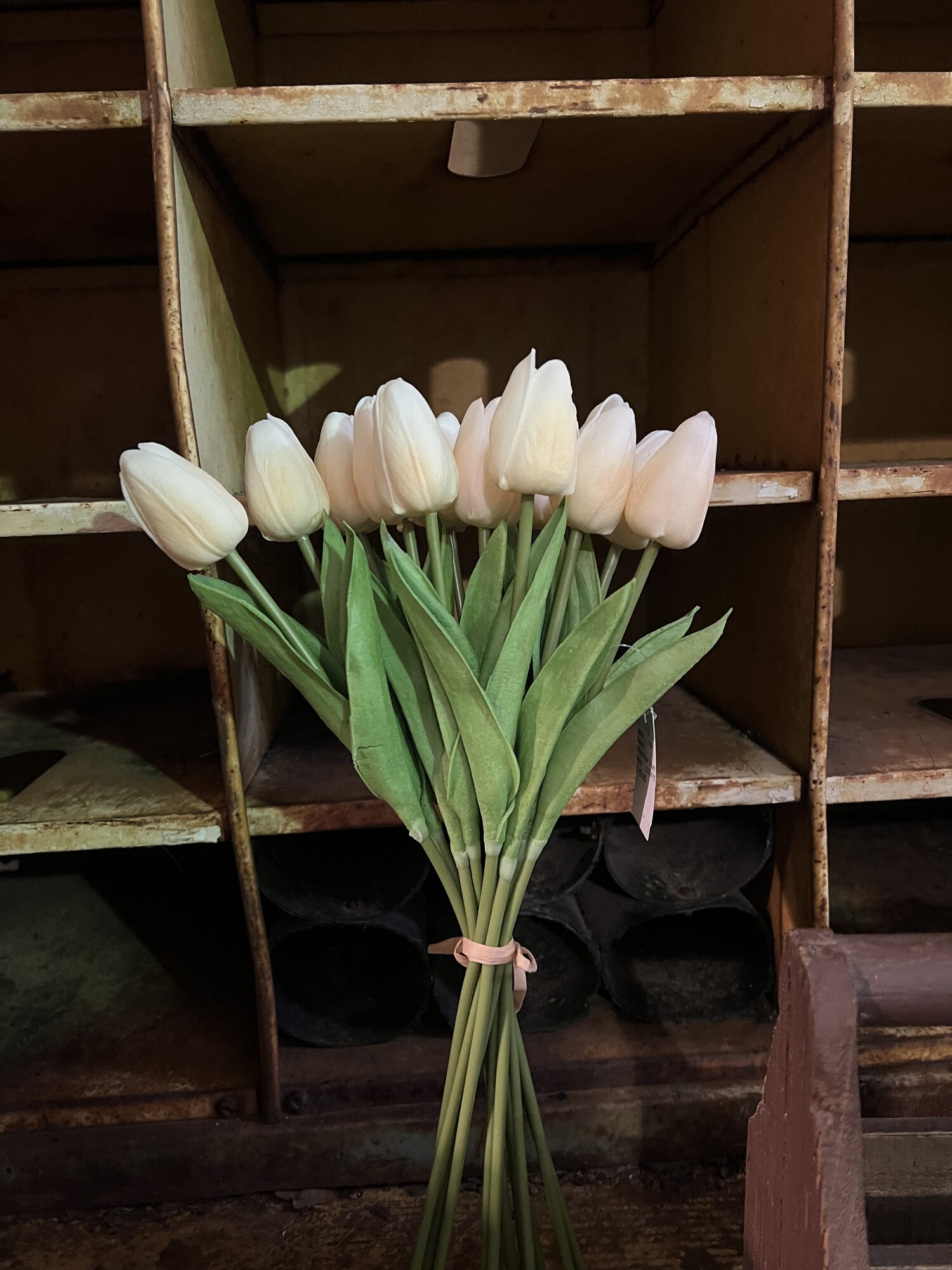 These beautiful Peach colored real touch tulips are absolutely stunning,  they look and feel like a real tulips. Use them as a gift, or fill your empty vases with a gorgeuos flower that you do not have to water! They measure 14 inches long and come in a bundle of 12 tied together with a raffia bow that can be cut to seperate the stems