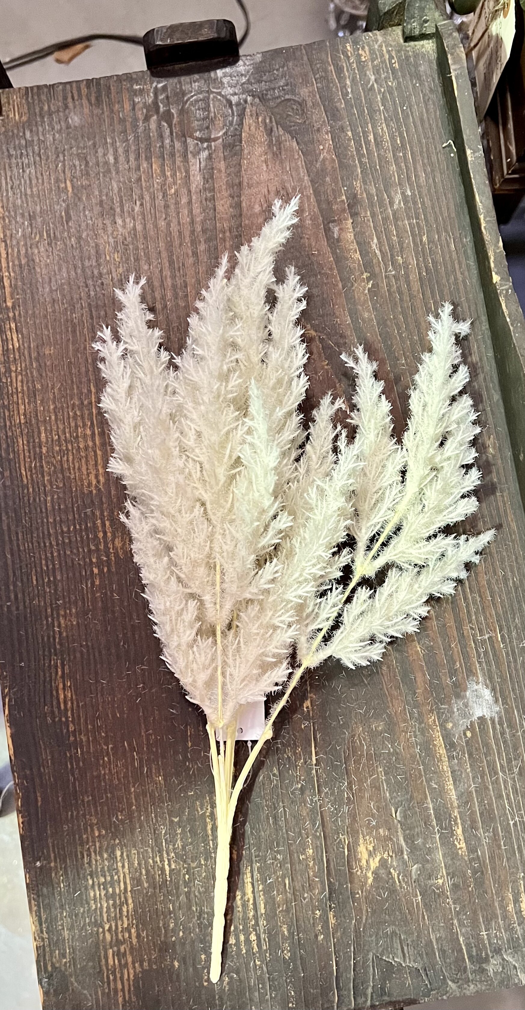 Add a touch of Boho to your home with these beatiful pampas stems. They come in your choice of cream or green and would be perfect added to any vase, jar or wicker basket. These stems measure 15 inces tall and can be fluffed for a fuller look