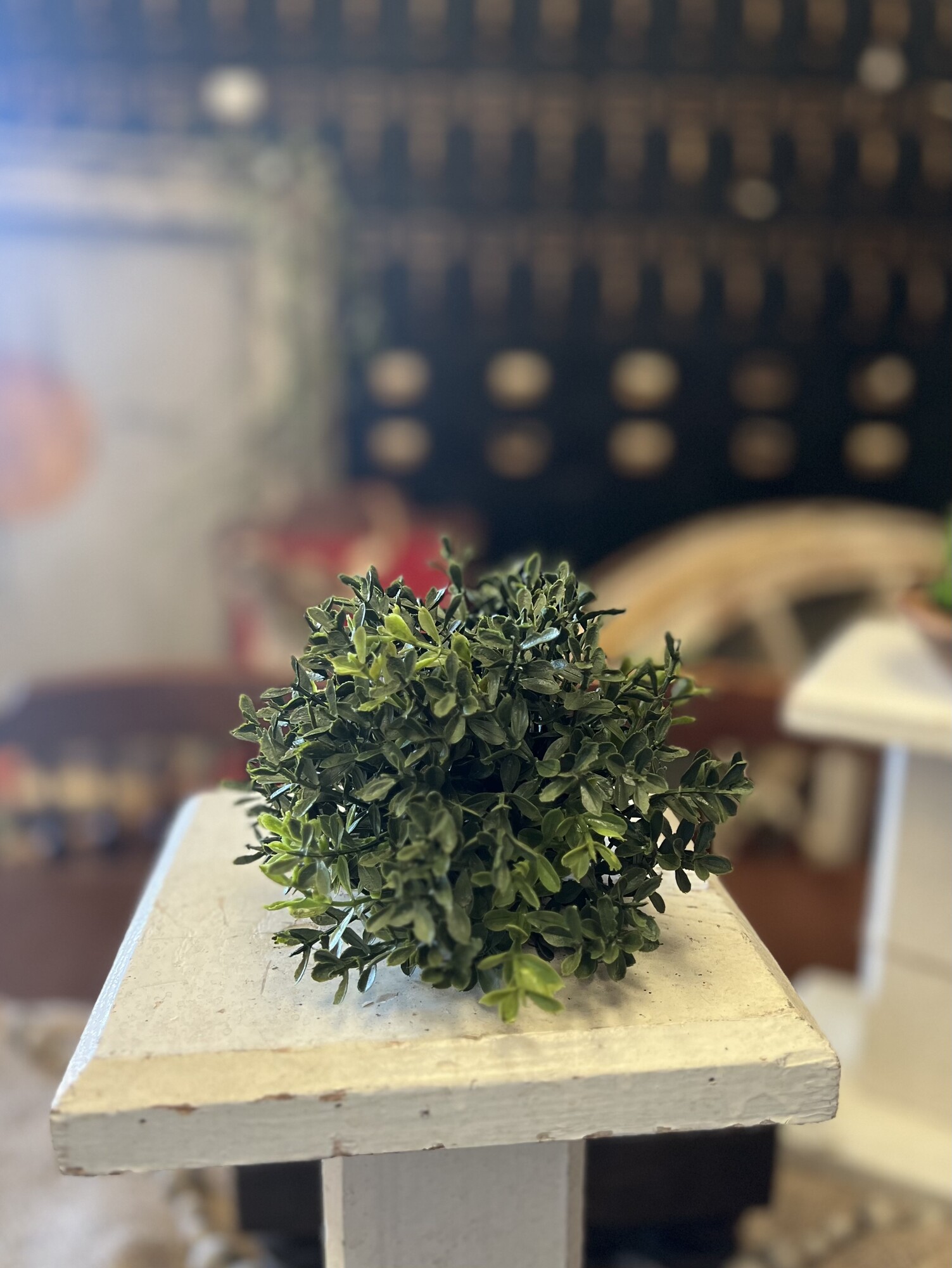 New England Boxwood half sphere features neutral green boxwood with a half sphere shape and flat base. Sphere can easily be displayed in a bowl or atop a vase or platform to add a touch of greenery to any room
Measures 6 inches in diameter and 4.5 inches high