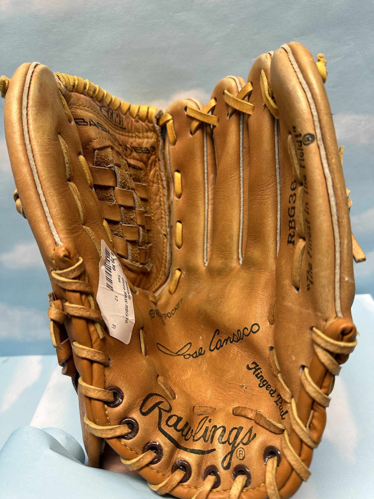 Glove RAWLINGS RBG36 West Michigan Sports Recreation