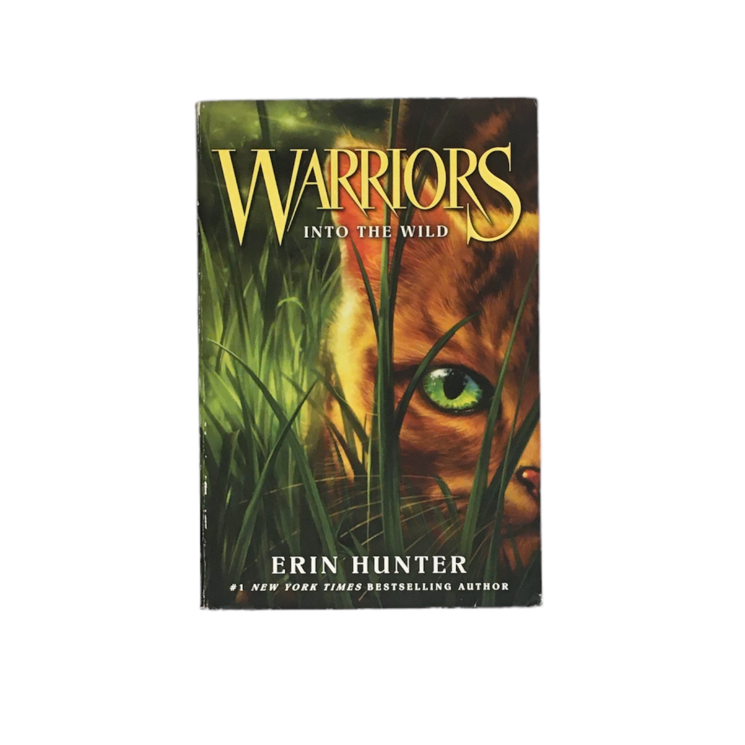 Warriors #1: Into the Wild (Warriors: The Prophecies Begin, 1