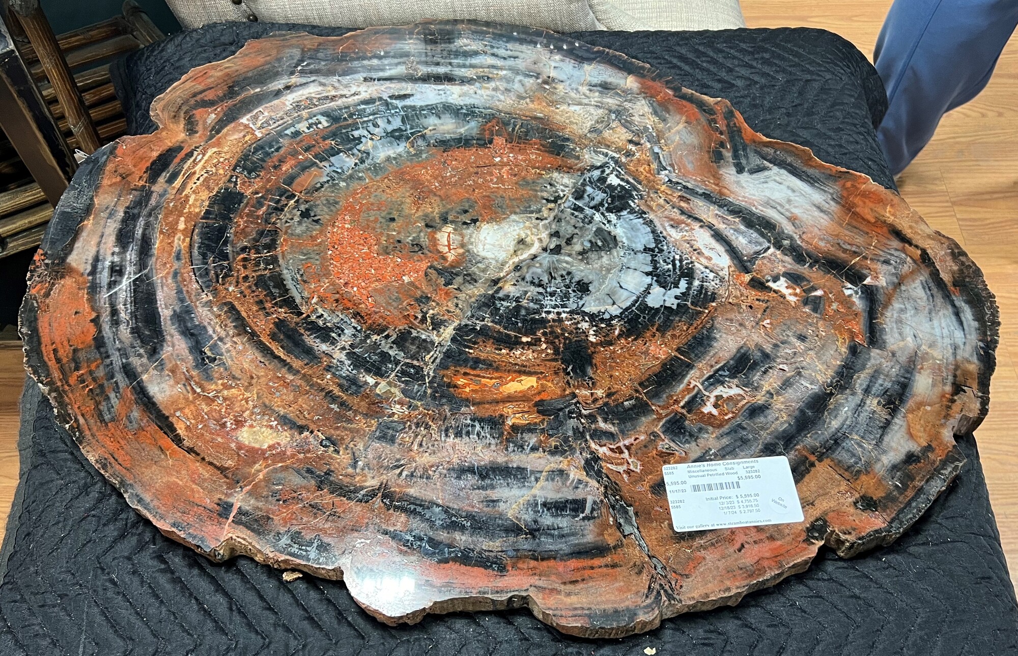 Unusual Petrified Wood, Slab, Large
34in x 26in (approx)