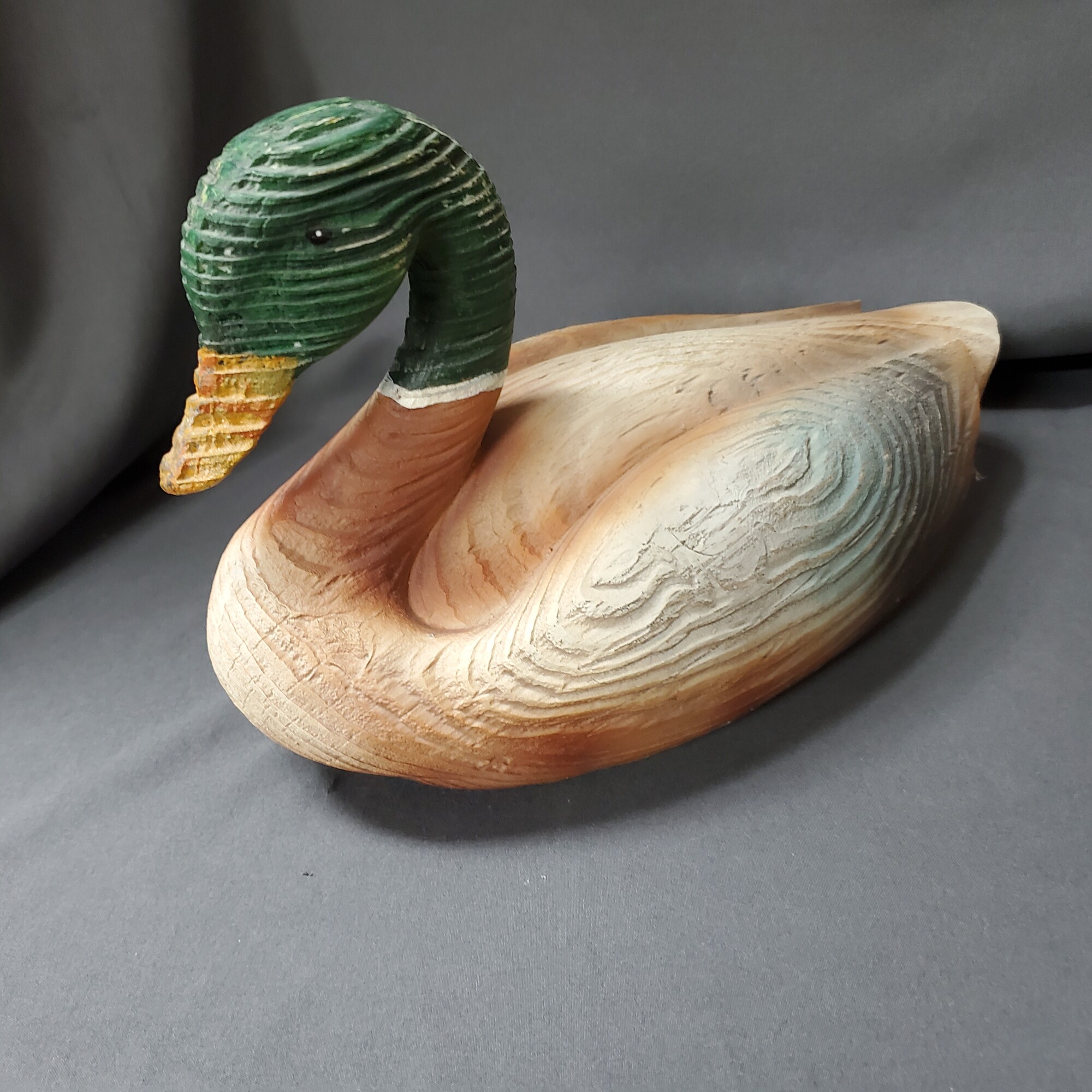 Wood Duck, Size: 12L