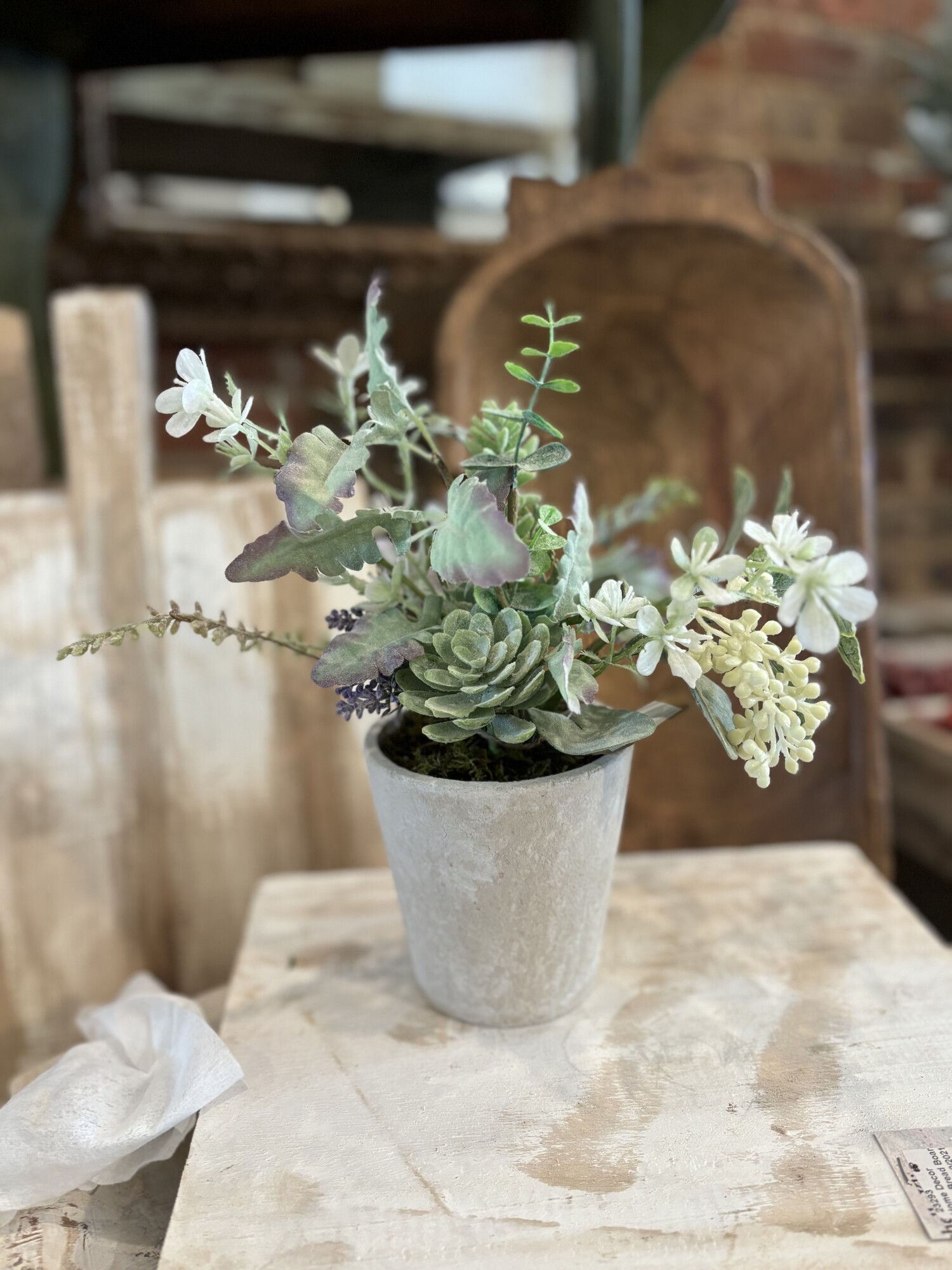 The cement potted floral is a pretty mixture of greenery and succulents. Add this to any shelf for instant color
Cement pot is 4 and a half inches tall, pot is 11 inches tall overall