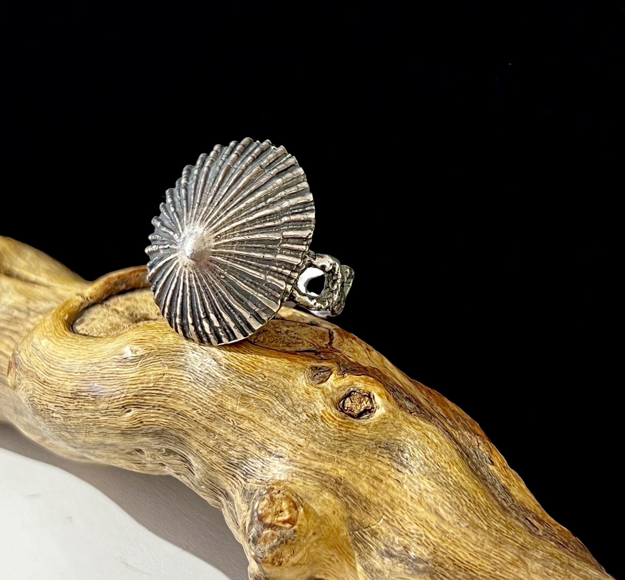 Sterling shell ring